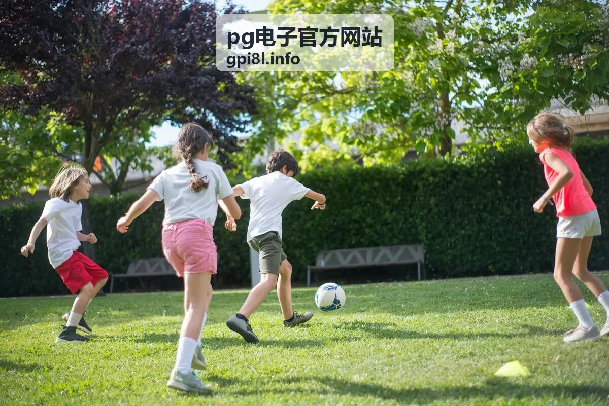 pg电子官方网站玩法攻略全景